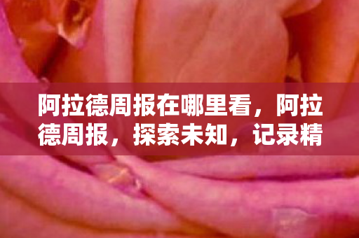 阿拉德周报在哪里看图片