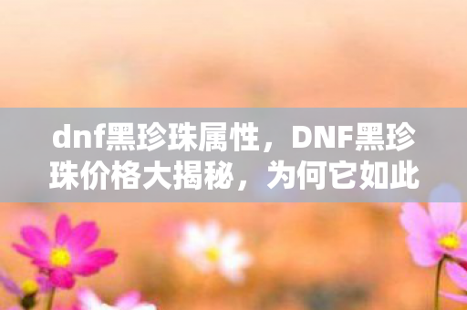 DNF黑珍珠价格大揭秘图片