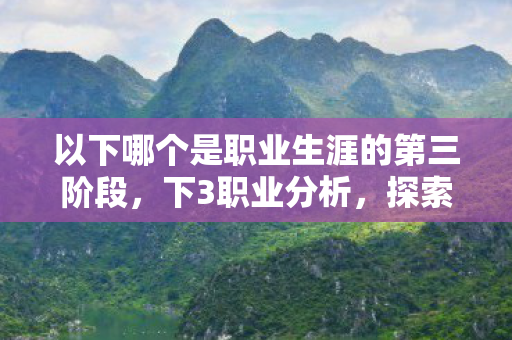 以下哪个是职业生涯的第三阶段图片