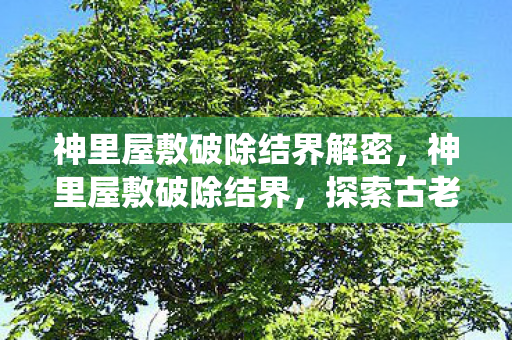 探索古老神秘的传统仪式图片