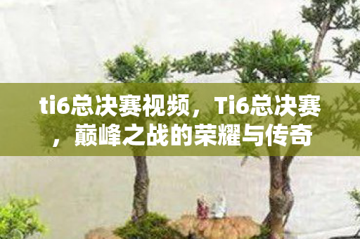ti6总决赛视频，Ti6总决赛，巅峰之战的荣耀与传奇