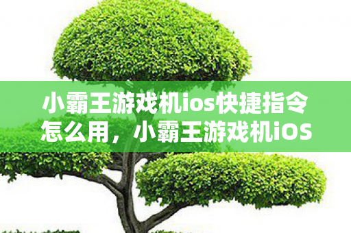 小霸王游戏机ios快捷指令怎么用图片