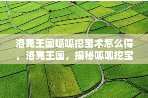 洛克王国呱呱挖宝术怎么得图片