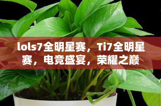 lols7全明星赛，Ti7全明星赛，电竞盛宴，荣耀之巅