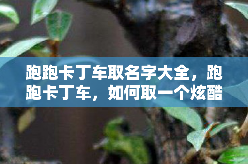 跑跑卡丁车取名字大全图片