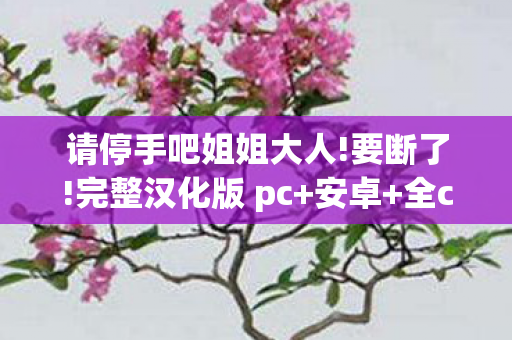 姐姐大人要断了游戏下载图片
