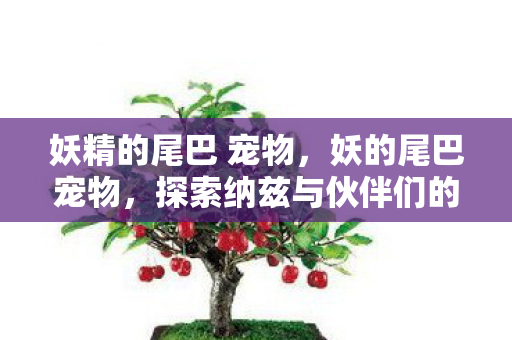 探索纳兹与伙伴们的奇幻之旅图片