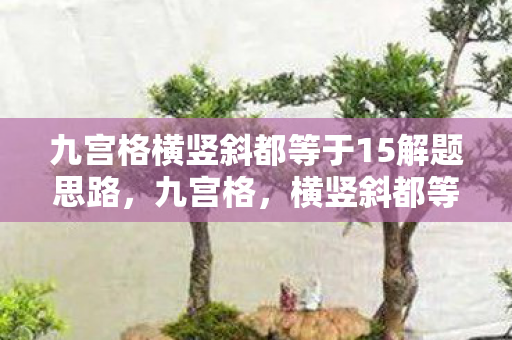 九宫格横竖斜都等于15解题思路图片