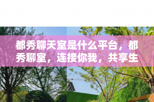 都秀聊天室是什么平台图片