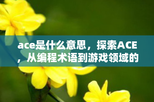 从编程术语到游戏领域的多面手图片