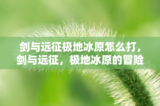 剑与远征极地冰原怎么打图片