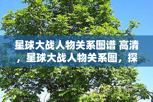 星球大战人物关系图谱 高清图片