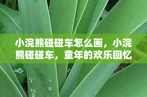 小浣熊碰碰车怎么画图片