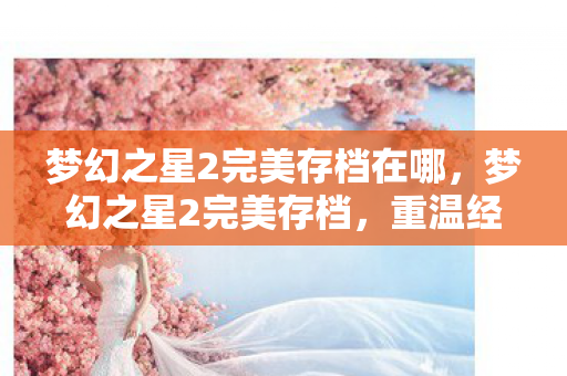 梦幻之星2完美存档在哪图片