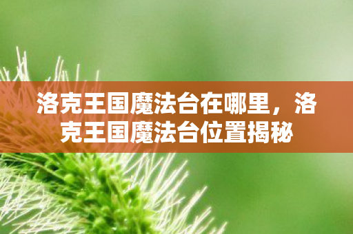 洛克王国魔法台位置揭秘图片