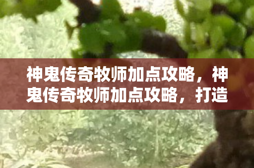 神鬼传奇牧师加点攻略图片