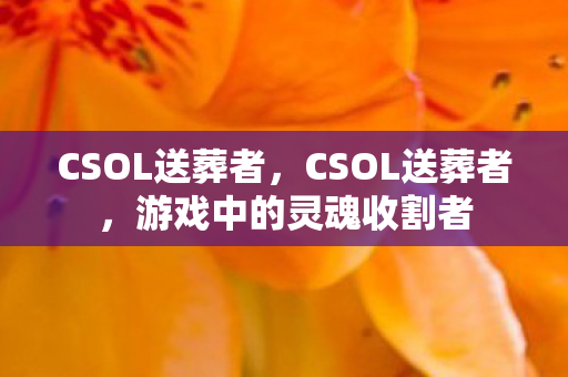 游戏中的灵魂收割者图片