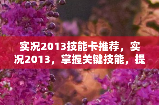 实况2013技能卡推荐图片