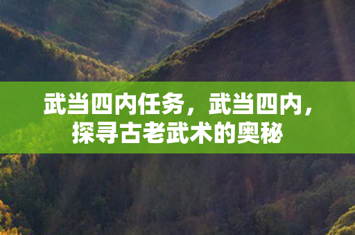 武当四内任务，武当四内，探寻古老武术的奥秘