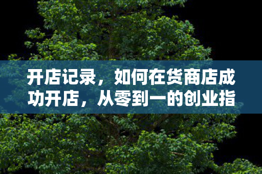 开店记录，如何在货商店成功开店，从零到一的创业指南