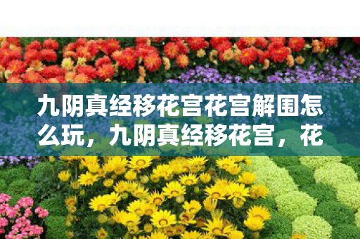 九阴真经移花宫花宫解围怎么玩图片