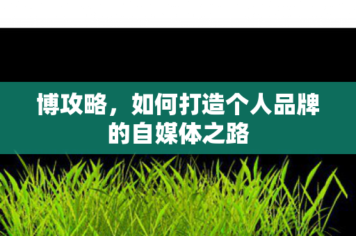 如何打造个人品牌的自媒体之路图片