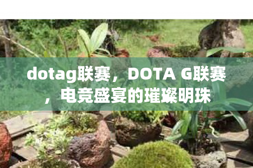 dotag联赛，DOTA G联赛，电竞盛宴的璀璨明珠