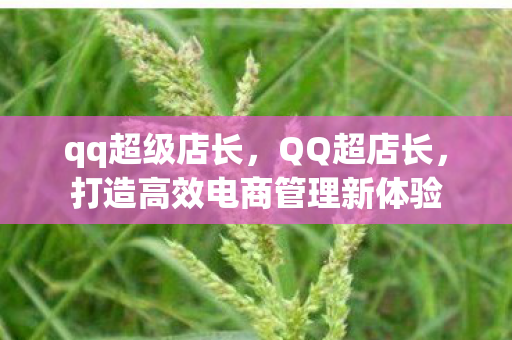 打造高效电商管理新体验图片