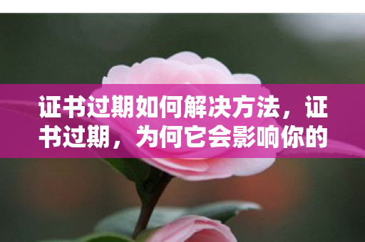 证书过期如何解决方法，证书过期，为何它会影响你的业务安全？