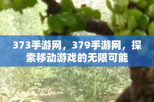 373手游网，379手游网，探索移动游戏的无限可能
