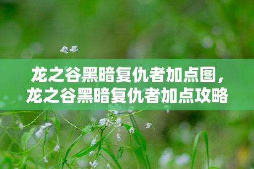 龙之谷黑暗复仇者加点图，龙之谷黑暗复仇者加点攻略