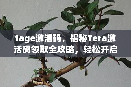 tage激活码，揭秘Tera激活码领取全攻略，轻松开启你的游戏之旅！
