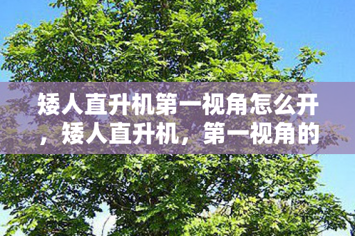 矮人直升机第一视角怎么开，矮人直升机，第一视角的空战之旅