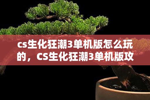 cs生化狂潮3单机版怎么玩的，CS生化狂潮3单机版攻略，掌握生存与战斗技巧