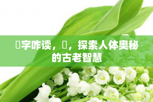 探索人体奥秘的古老智慧图片