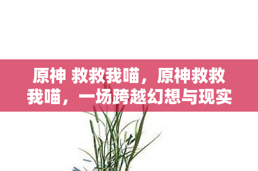 一场跨越幻想与现实的冒险图片