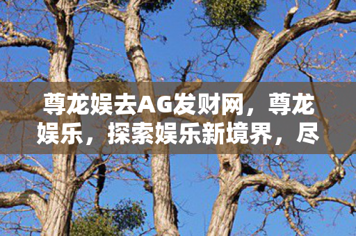 尊龙娱去AG发财网图片