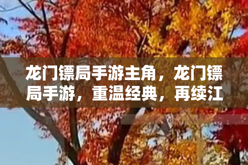 龙门镖局手游主角图片