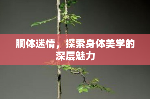 探索身体美学的深层魅力图片