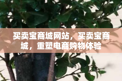 重塑电商购物体验图片