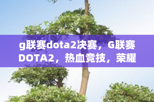 g联赛dota2决赛，G联赛DOTA2，热血竞技，荣耀之战