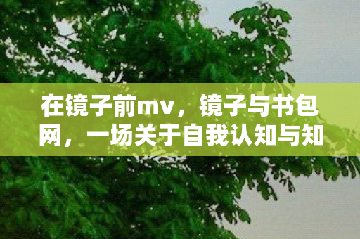 一场关于自我认知与知识探索的镜像图片