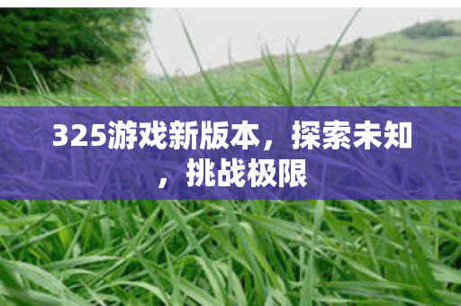 325游戏新版本图片