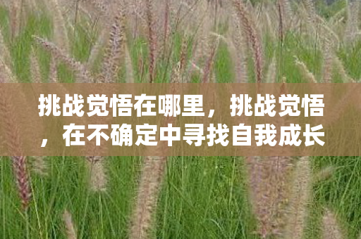 在不确定中寻找自我成长的力量图片