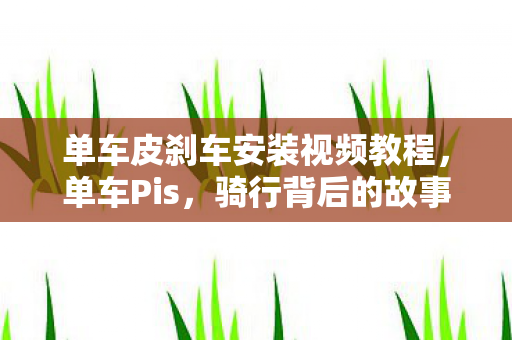 单车皮刹车安装视频教程，单车Pis，骑行背后的故事与挑战
