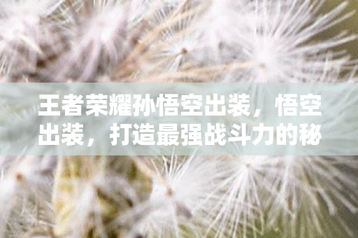 打造最强战斗力的秘密图片