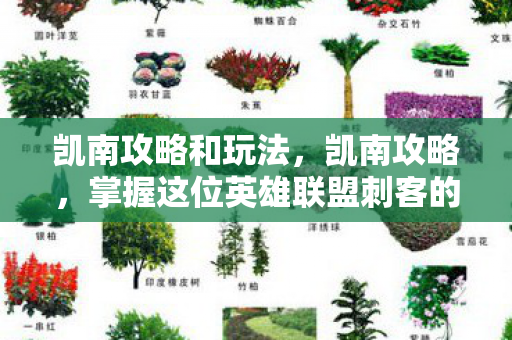 掌握这位英雄联盟刺客的精髓图片