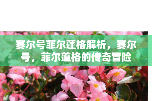 赛尔号菲尔蓬格解析图片