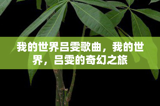 我的世界吕雯歌曲图片