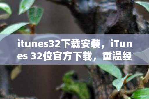iTunes 32位官方下载图片